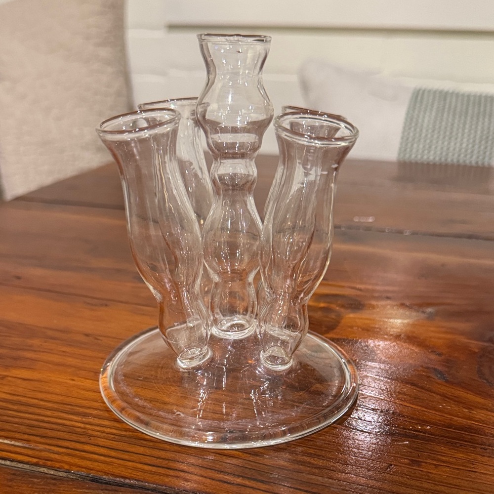 Bud Vase With 5 Flower Holding Vesicles